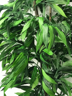 Arbol de Mango con tronco natural 205 cm - comprar online