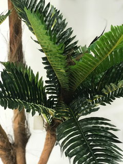 Planta Helecho de 80 cm en internet