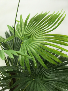Planta Palmetto 135 cm en internet