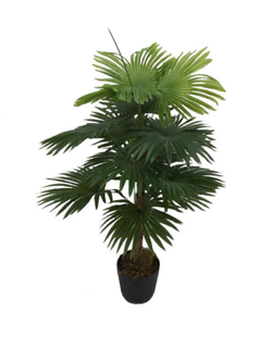 Planta Palmetto 135 cm - comprar online