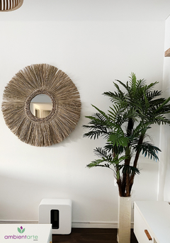 Planta Areca de 190 cm aprox en internet
