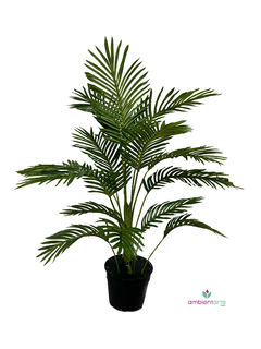 Planta de Palmera- Areca 105 cm