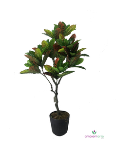Arbol Crotton 130 cm