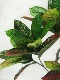 Arbol Crotton 130 cm en internet