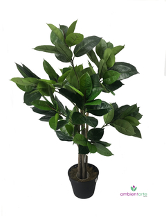 Arbol Gomero 130 cm