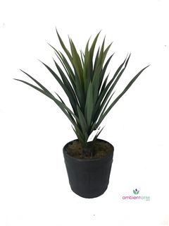 Arbol de Yuka 60 cm