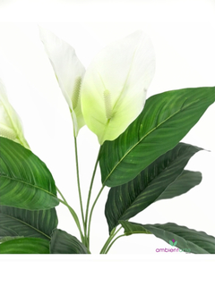 Planta Spatifilium 70 cm - comprar online