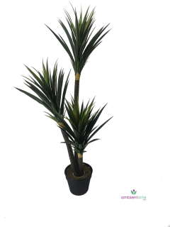 Planta de Yuka 150 cm x 3 Troncos
