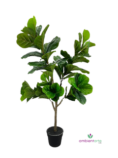 Arbol Pandurata 130 cm - comprar online
