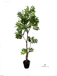 Planta - Arbol hoja de Hiedra 150 cm