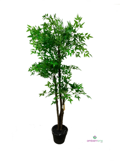 Planta de Hiedra de 150 cm