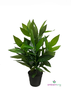 Planta Dracena 75 cm - comprar online