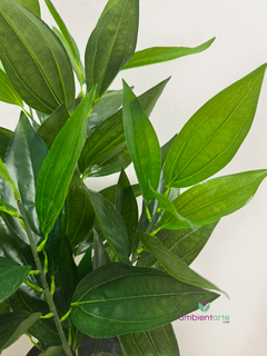 Planta Dracena 75 cm en internet