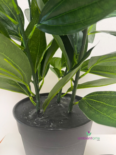 Planta Dracena 75 cm - ambientartedeco