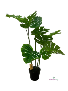 Planta Costilla de Adan de 120 cm
