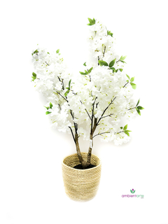 Arbol de Sakura o Cerezo de 100 cm