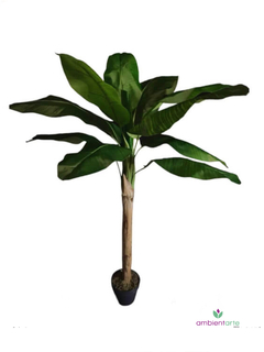 Planta de Banano- Nicolai de 140 cm - comprar online