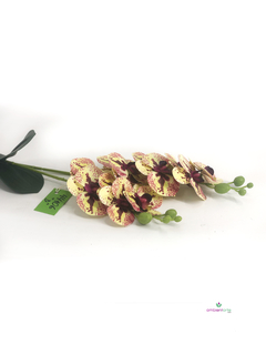Imagen de Maceta con Orquídea 10x45 cm