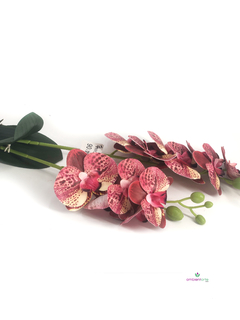 Maceta con Orquídea 10x45 cm