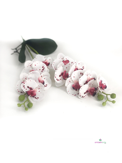 Maceta con Orquídea 10x45 cm - comprar online