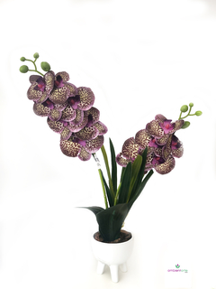 Maceta con Orquídea 10x45 cm