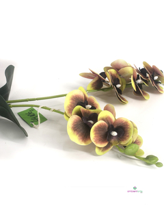 Maceta con Orquídea 10x45 cm en internet