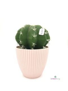 Maceta con Cactus 20x30 cm