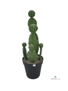 Maceta con Cactus 75x24 cm