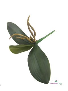 Hoja de Orquidea 20 cm - comprar online