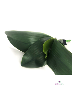 Hoja de Orquidea 20 cm - ambientartedeco