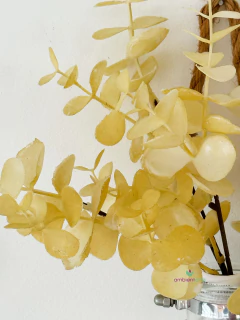 Imagen de Ramo de Eucalipto de Colores 30 cm