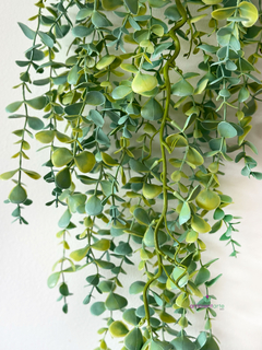Caída de eucalipto 100 cm - - tienda online