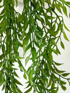 Caida Bambu 80 cm en internet
