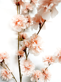 Vara de Sakura o Cerezo 100 cm - ambientartedeco