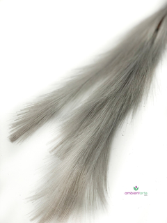 Plumas de 70 cm en internet