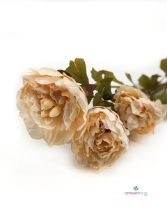 Vara de Peonia Otoñal 60 cm - comprar online