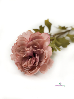Vara de Peonia Otoñal 60 cm en internet