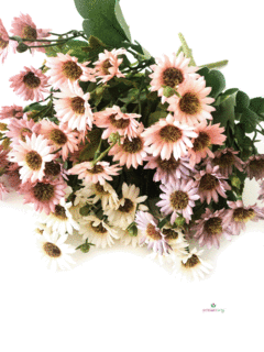 Maceta con Margaritas 10x20 cm - comprar online