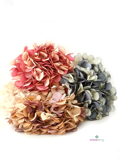 Vara de Hortensia 50 cm