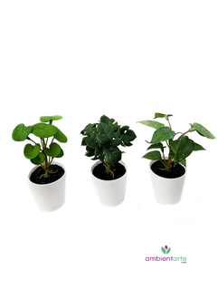Set Mini Maceta x3 -18 cm - comprar online