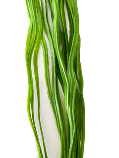 Caida de Pasto Lacio 80 cm x1 en internet
