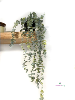 Caida de Eucalipto en maceta 60 cm - comprar online