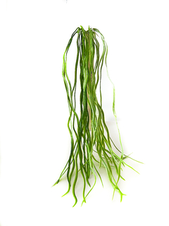 Caida de Pasto Lacio 80 cm x1
