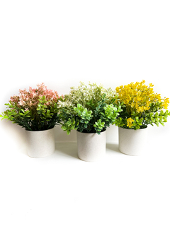 Maceta con Pasto Silvestre 18x20 cm - comprar online