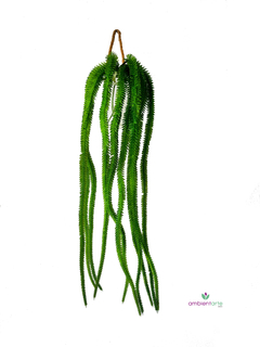 Caída de Cola de Zorro 90 cm