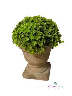 Maceta con Pasto 15x12 cm - comprar online