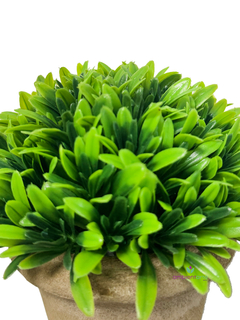 Maceta con Pasto 15x12 cm - comprar online