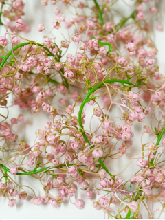 Guia de gypsophila de 170 cm - comprar online