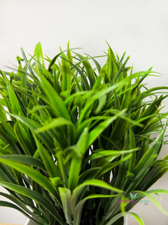 Maceta Con Pasto 8x20 cm - comprar online