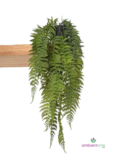 Caida de helecho de 60 cm - comprar online